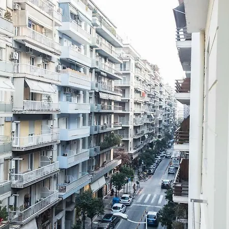 Cyclamen #colony_city_center *